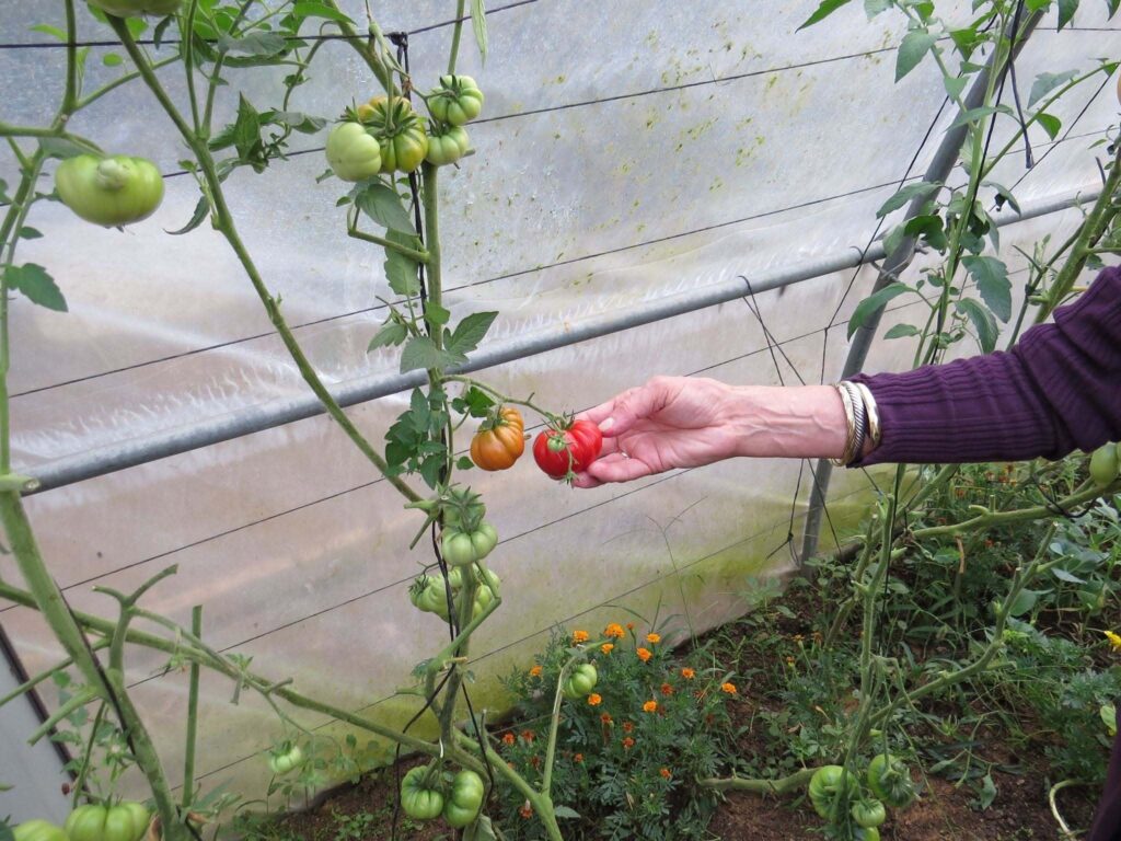 jardin-potager-restaurant-sarlat