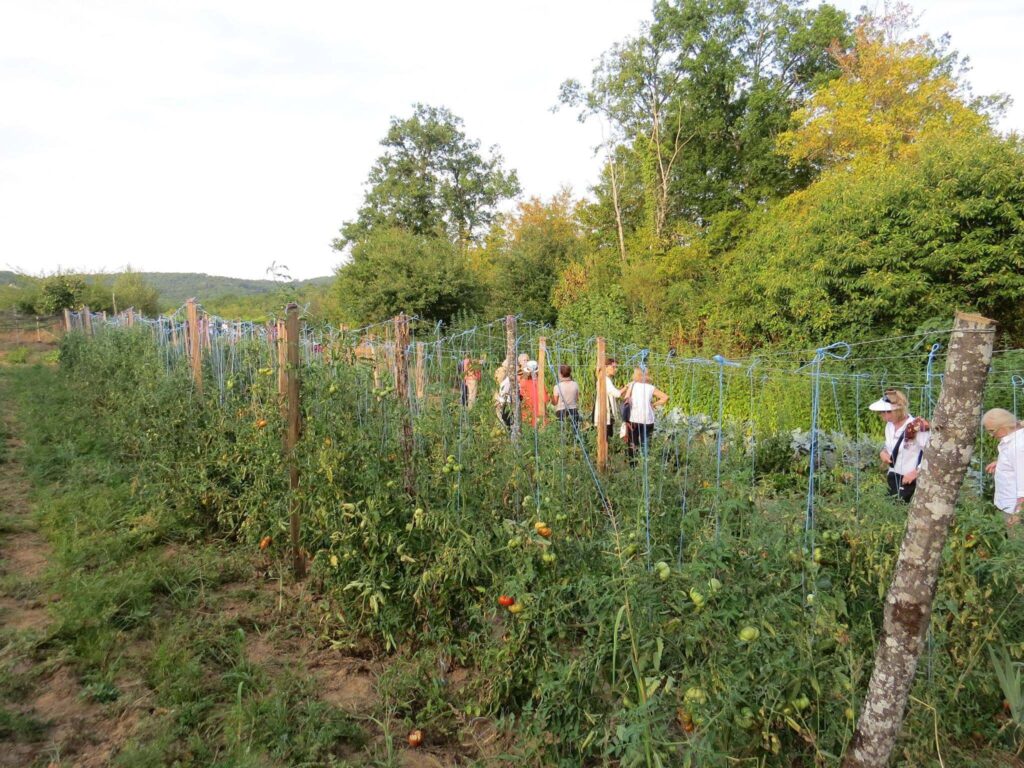 jardin-potager-restaurant-sarlat